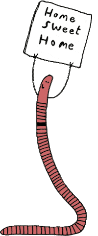 wurmkiste giphyupload worm composting wurm Sticker