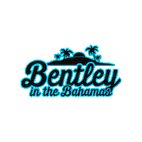 Bentleyu Sticker by Bentley University
