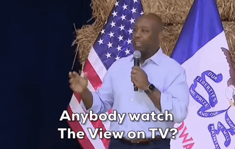 The View Scott GIF by GIPHY News