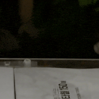 도마뱀 GIF