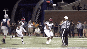 Colgate University Football GIF by Colgate Athletics