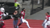 Colgate University Football GIF by Colgate Athletics