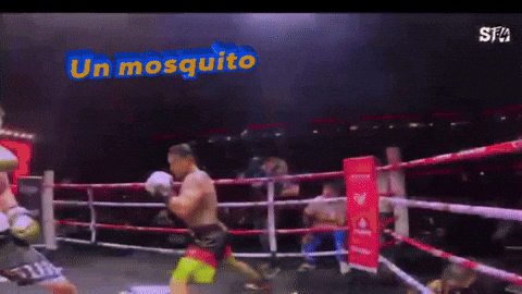 Knockout Combo GIF