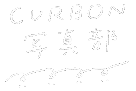 Curbon Sticker