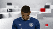 Line Up Smile GIF by Bundesliga