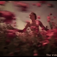 motion quote GIF by The Videobook