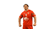 Celebrating Sticker by CSKA men's handball club