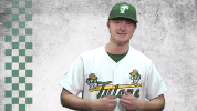 baseball superman GIF by GreenWave