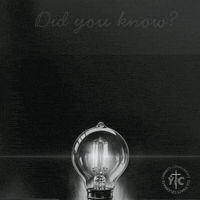 Did You Know Skaters GIF by Young Faith in Christ