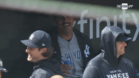 Happy New York GIF by YES Network