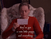 season 2 netflix GIF by Gilmore Girls 
