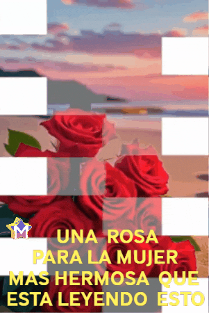 Sol Amigos GIF by Murcianys LLC