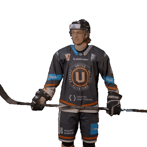 Uhk Holub Sticker by UNIted HK