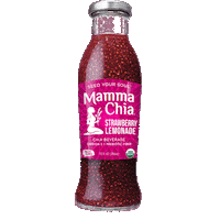 Chia Seeds Seed Sticker by Mamma Chia