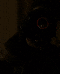 Elif Baharvadi GIF