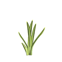 Grow Easter Eggs Sticker