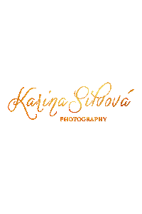 karinasilvovaphotography logo text gold photo Sticker