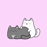 Cats Slap GIF by MESA My Emotional Support Animal