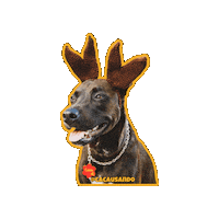 Dog Christmas Sticker