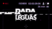 bandapapaleguas bahia salvador banda carnaval de salvador GIF