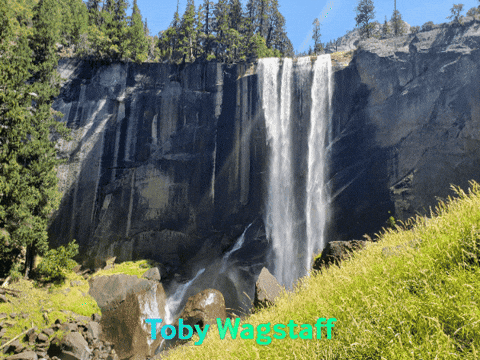 tobywagstaff giphygifmaker GIF