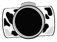 Photography Smile Sticker by Brady