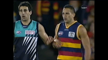 Afl Memories GIF by Adelaide Crows
