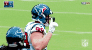 houston texans jj watt GIF by NFL