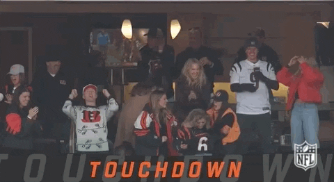 National Football League GIF by NFL