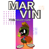 Looney Tunes Sport Sticker by Space Jam