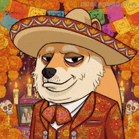Shiba Inu Mood GIF by Doge Pound