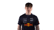 Red Bull Sr Sticker by Oracle Red Bull Racing