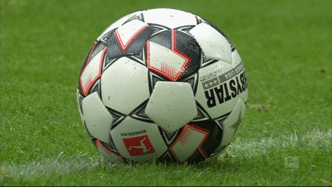 champions league football GIF by Borussia Dortmund