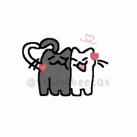 Cute Cat GIF