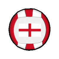 Ball Europe Sticker by Swiss Dodgeball
