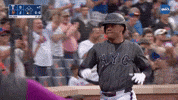 Celebrate New York Mets GIF by MLB