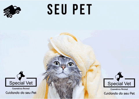 specialvetoficial giphyupload cat gato petshop GIF