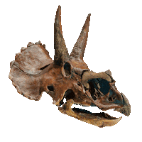 museumnaturalis dinosaur dino museum jurassic park Sticker