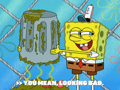 season 6 gullible pants GIF by SpongeBob SquarePants