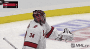 Ice Hockey Win GIF by NHL
