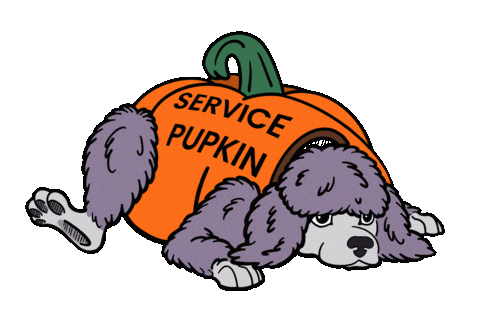 Guide Dog Sticker by Guide Dogs of the Desert