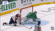 Happy Colorado Avalanche GIF by NHL