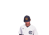 Uc Berkeley Baseball Sticker by Cal Athletics