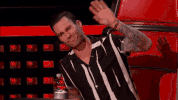 adam levine television GIF by The Voice