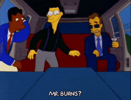 Looking Season 3 GIF by The Simpsons