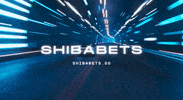 Shiba GIF by SHIBABETS.GG