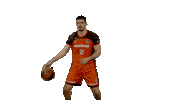 Bouncing Liga Endesa Sticker by ACB