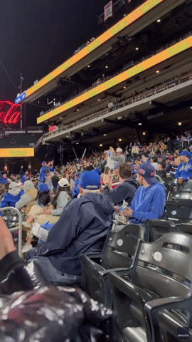 Mets Fan Removed After Taking on 9-Beer, 9-Hot Dog Challenge