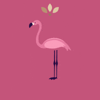 Pink Be Free GIF by Aloha