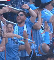 Happy New York City Fc GIF by Major League Soccer